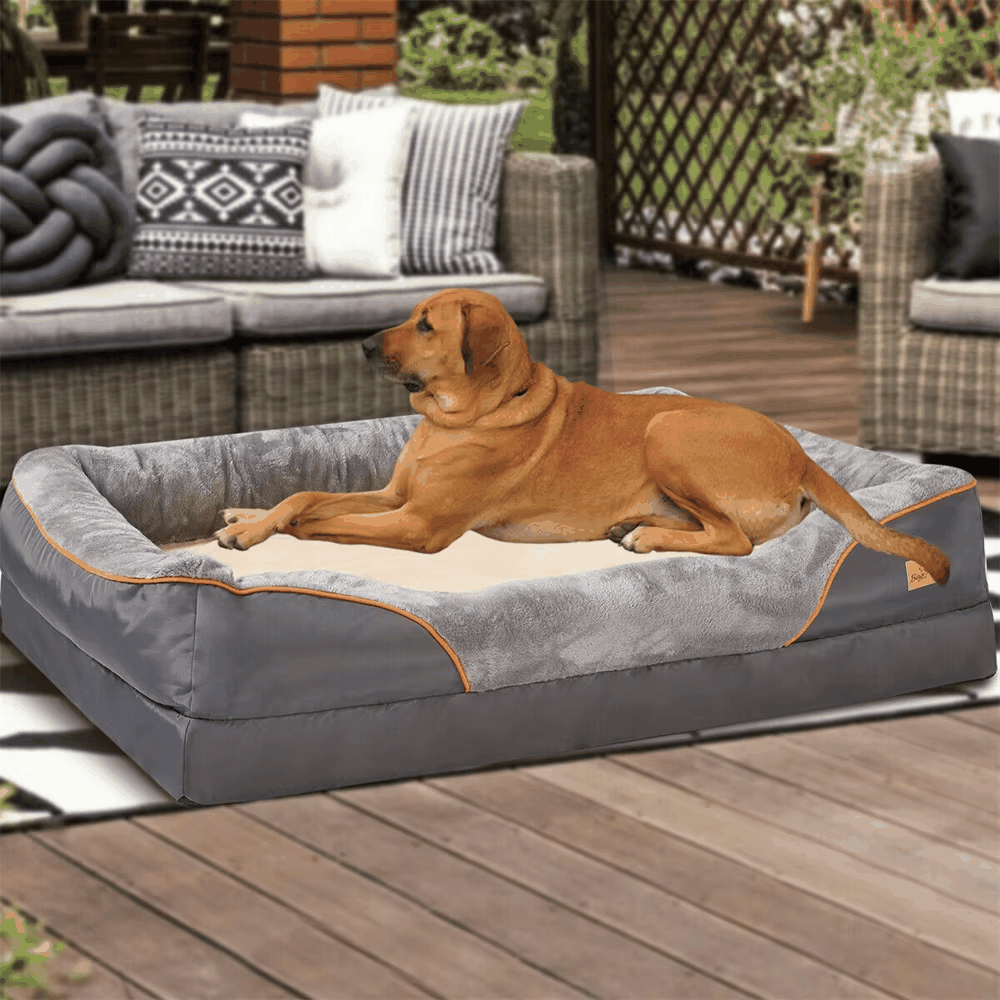 Orthopedic Memory Foam Dog Bed