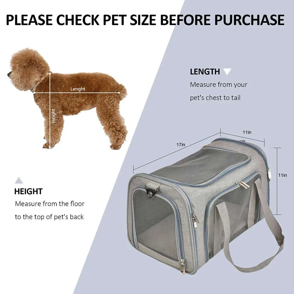 Airline Approved Pet