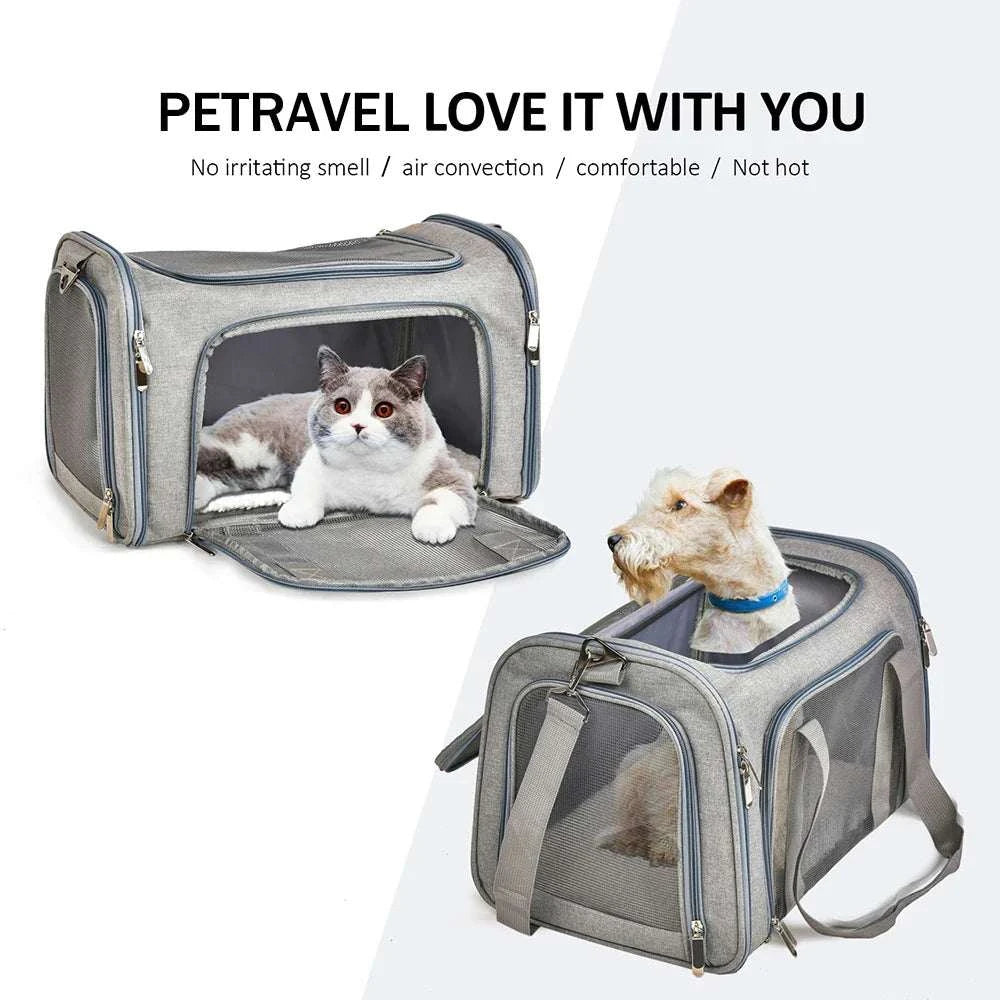 Airline Approved Pet