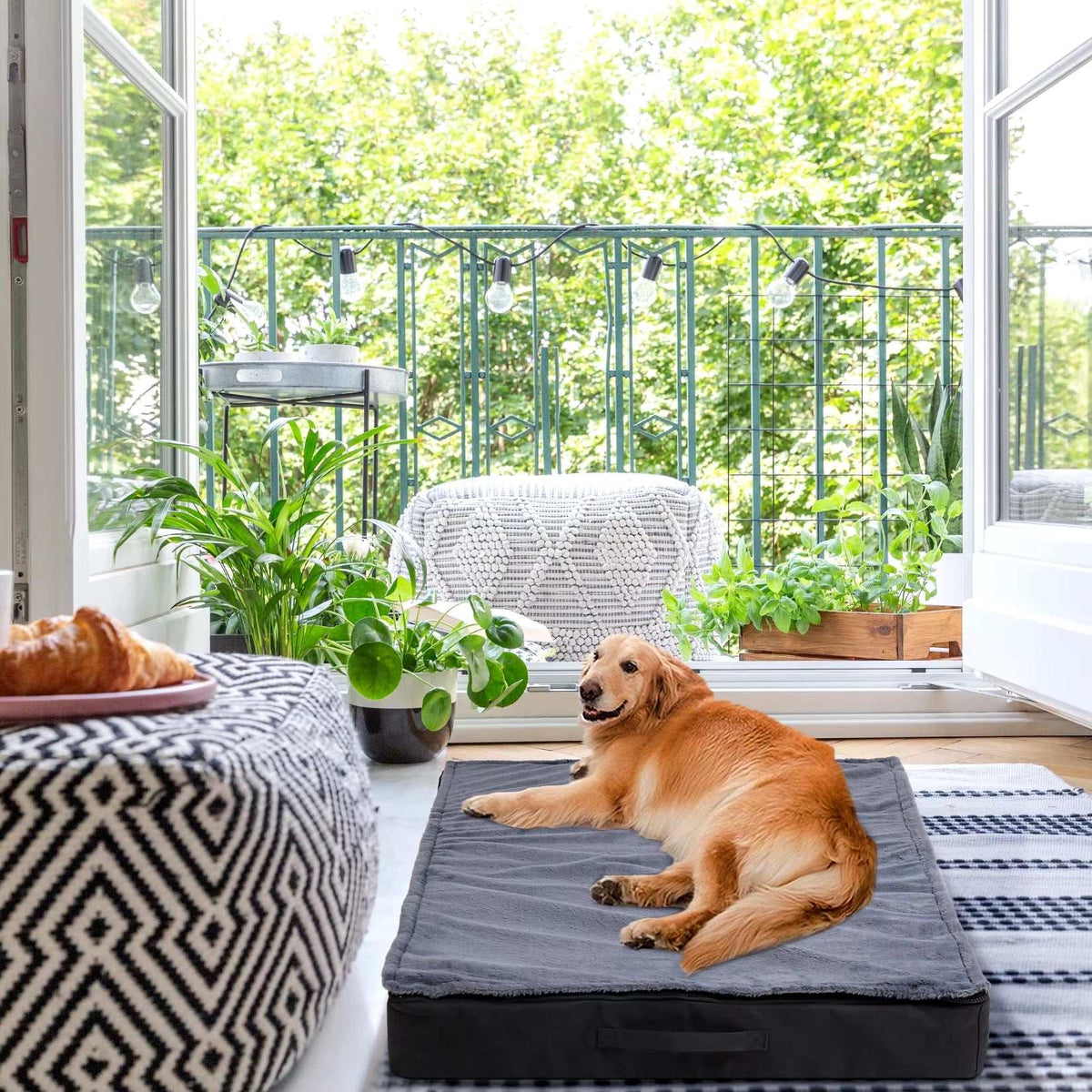Orthopedic Dog Bed