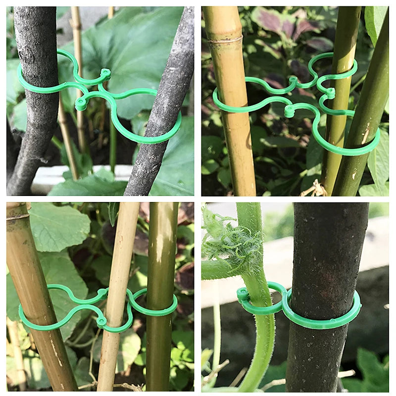 Vine Strapping Clips Plant Bundled