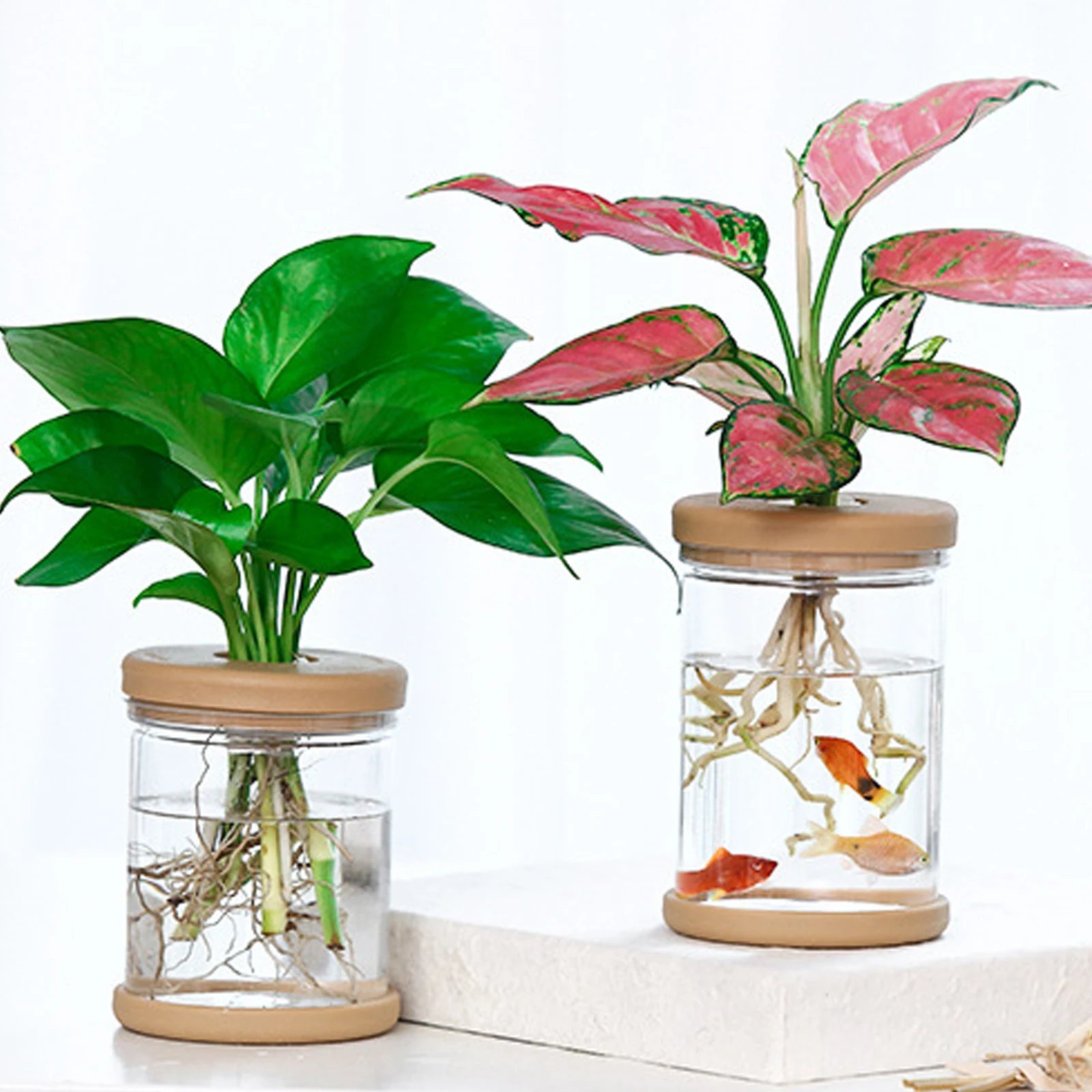 Durable Transparent Hydroponic Flower Pot