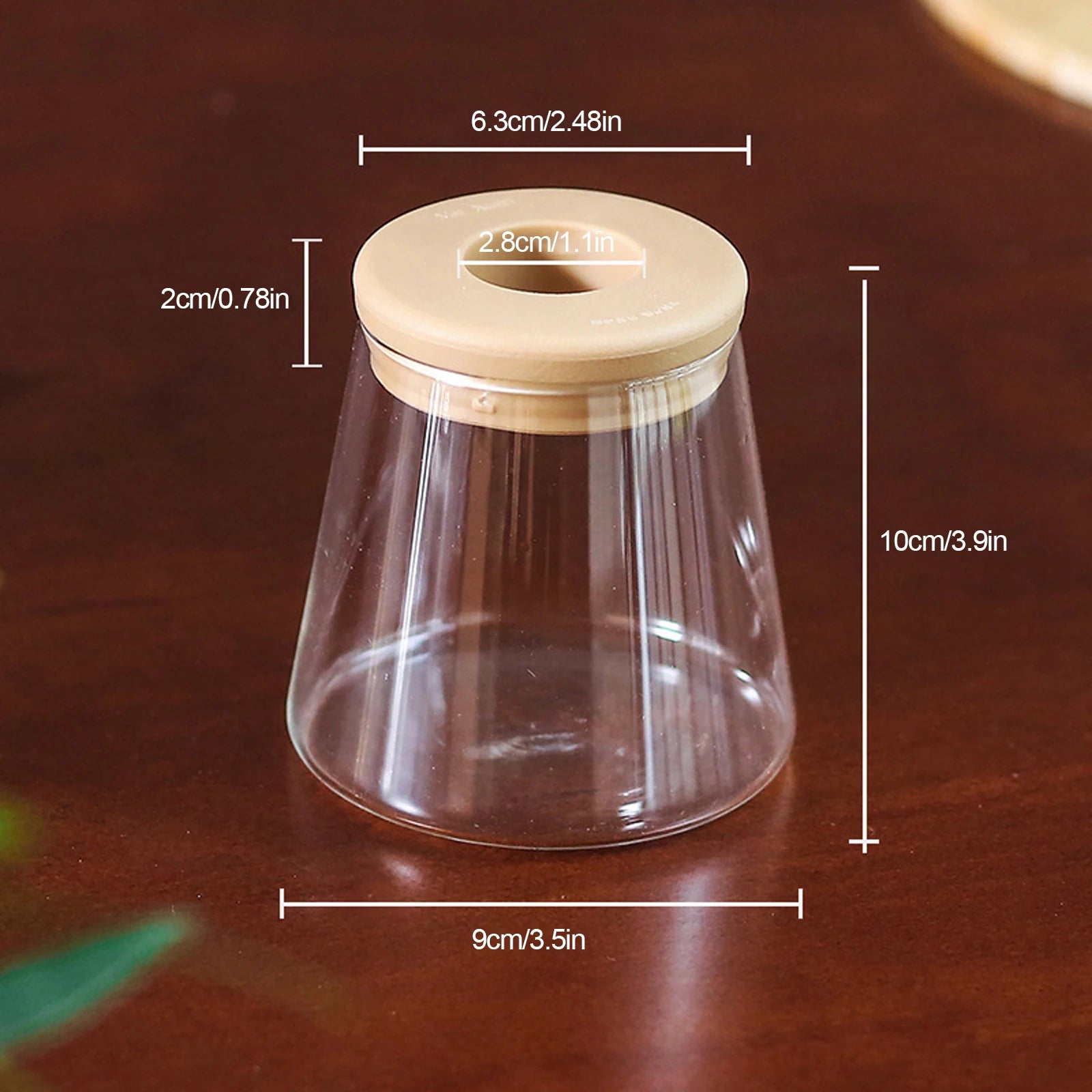 Durable Transparent Hydroponic Flower Pot