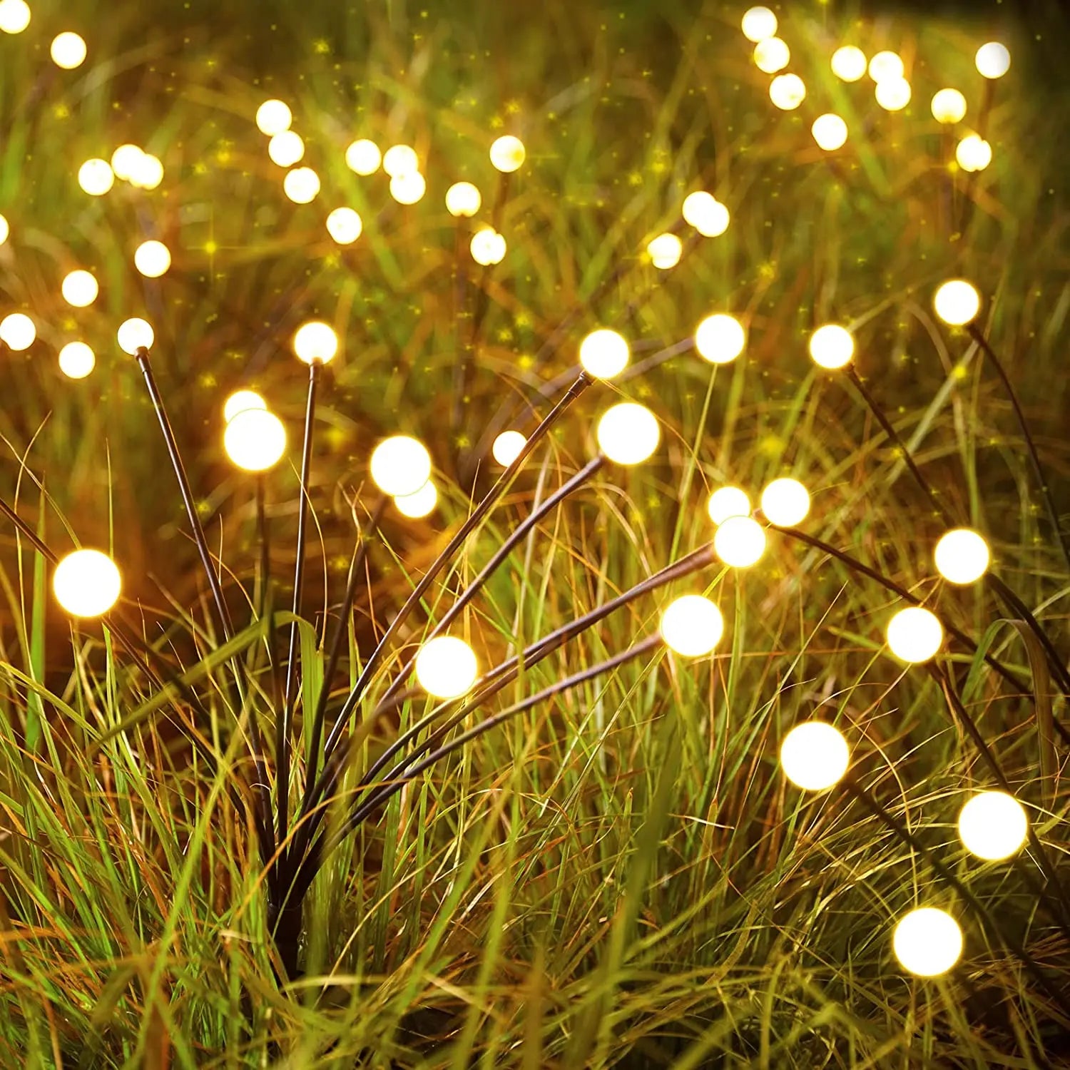 Solar Garden Lights