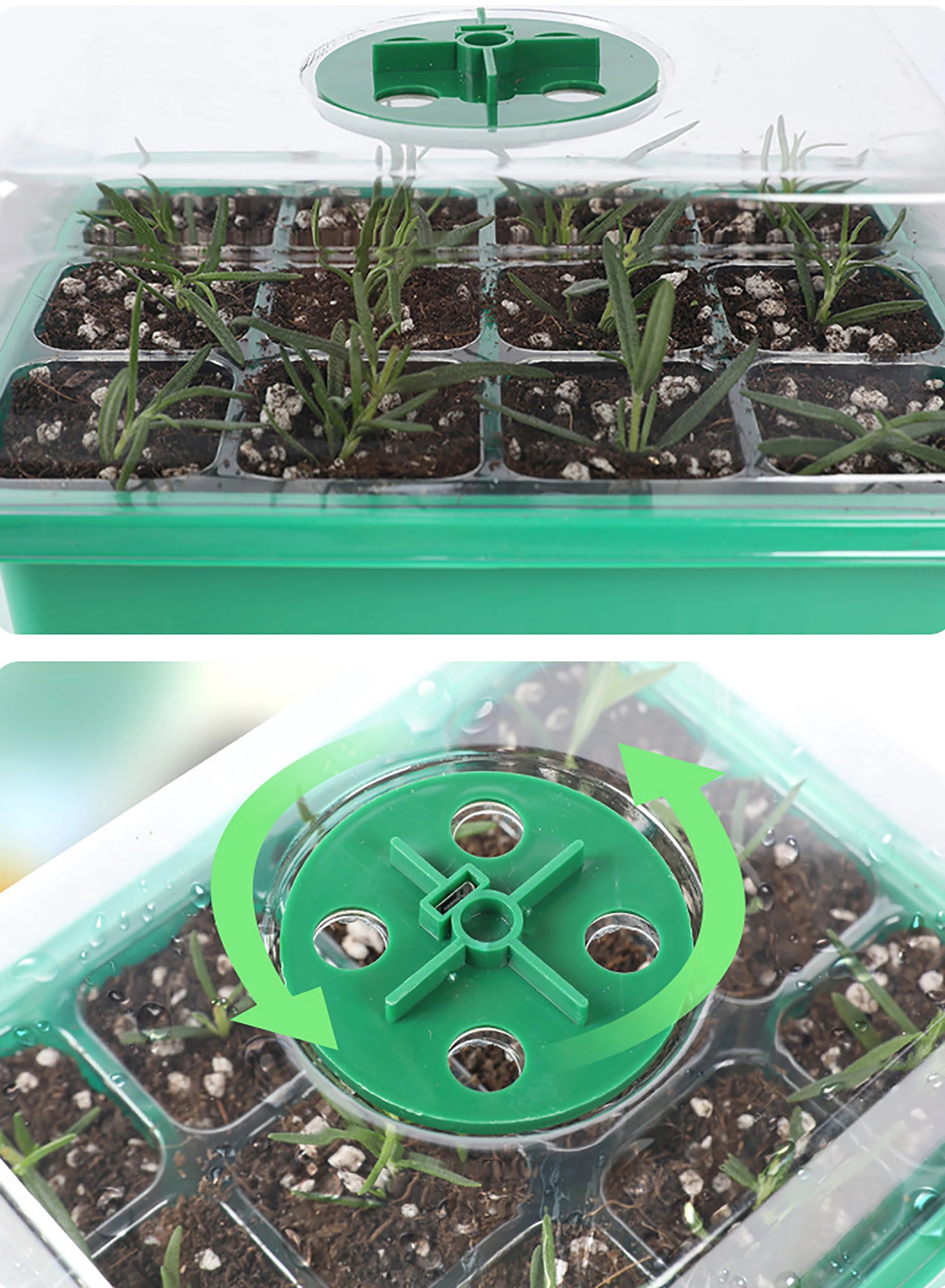 Seed Starter Tray Box